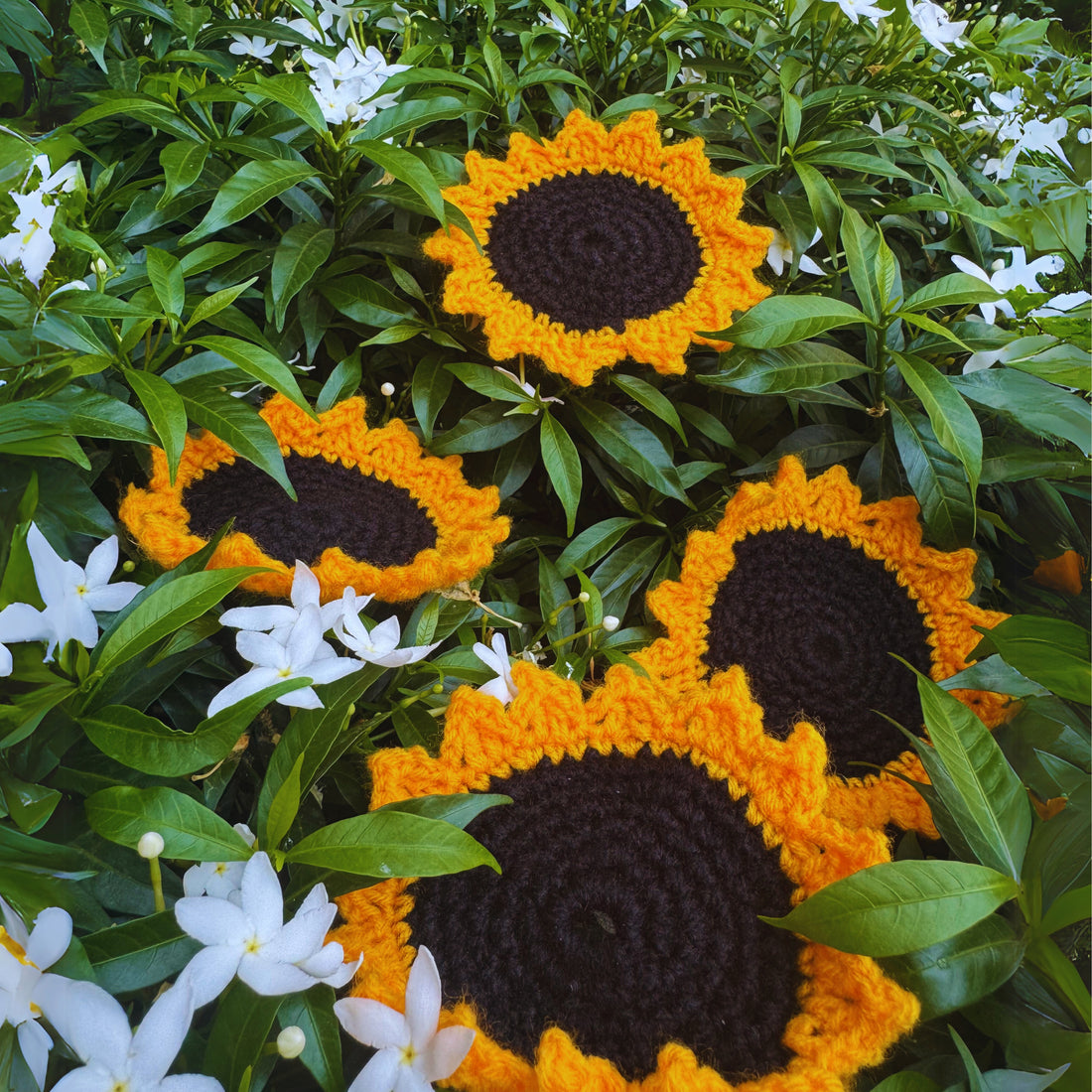 Sunflower Crochet Coasters, handmade crochet coaster set, main product image, Sanganer Jaipur artisan craft